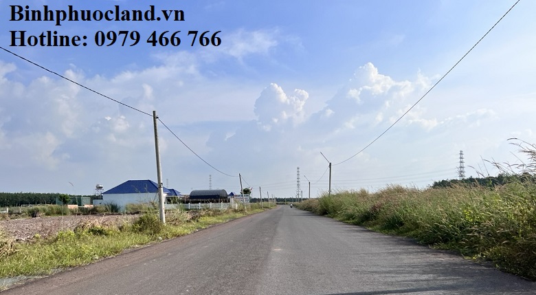 dat khu pho 2 minh thanh bau nam minh thanh chon thanh binh phuoc dat khu pho 2 minh thanh bau nam minh thanh chon thanh binh phuoc